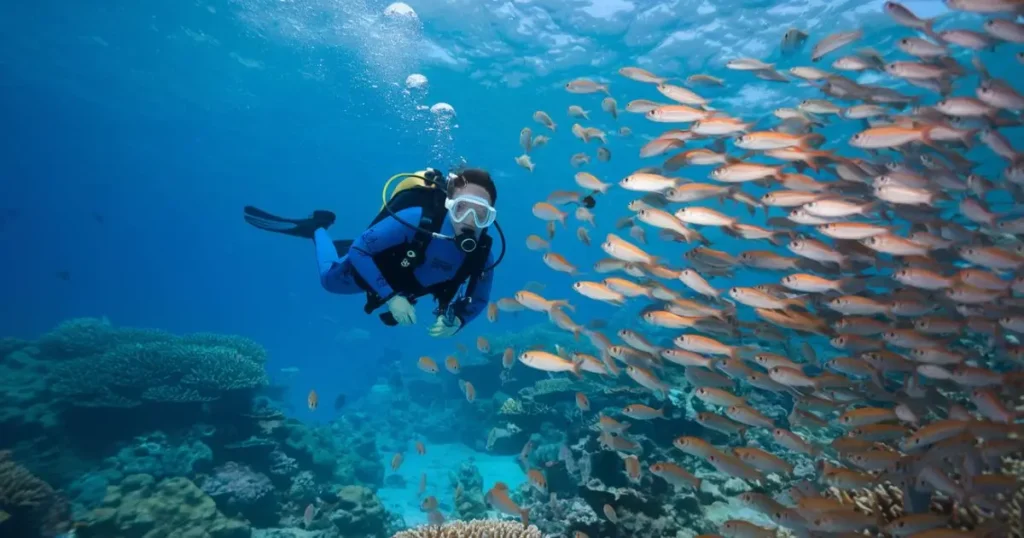 Adventurous Hobbies Scuba Diving